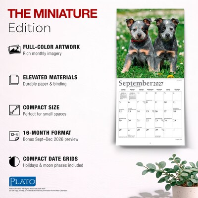 2027 BrownTrout Puppy Pals 7" x 7" Monthly Wall Calendar (9798330713820)