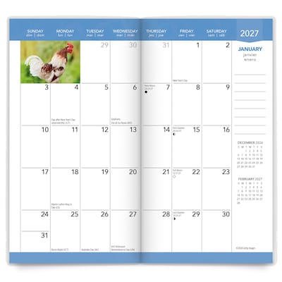 2027-2028 BrownTrout Chickens 3.5" x 6.5" Monthly Planner (9798330710249)