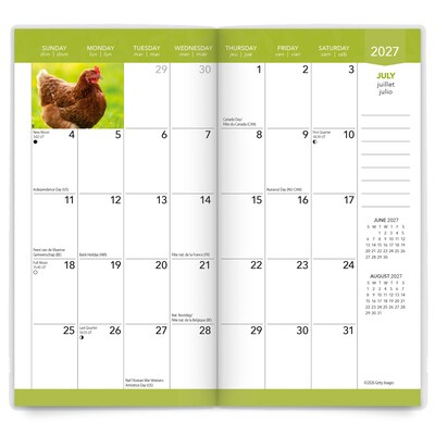 2027-2028 BrownTrout Chickens 3.5" x 6.5" Monthly Planner (9798330710249)