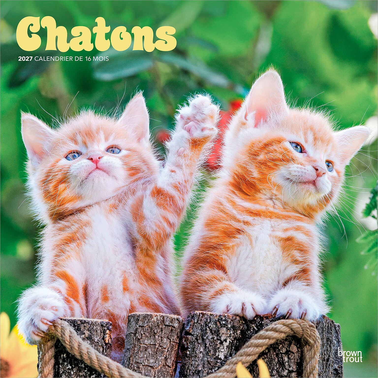 2027 BrownTrout Chatons 12 x 12 Monthly Wall Calendar (9798330715046)