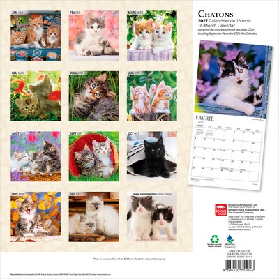 2027 BrownTrout Chatons 12 x 12 Monthly Wall Calendar (9798330715046)