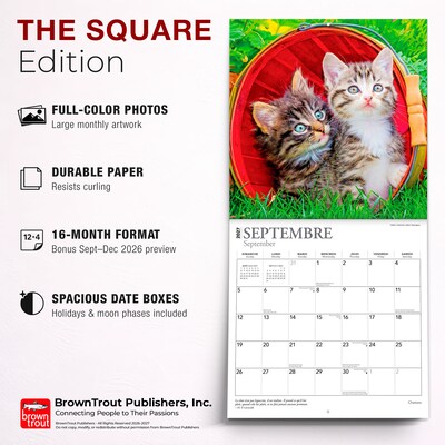 2027 BrownTrout Chatons 12" x 12" Monthly Wall Calendar (9798330715046)