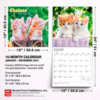 2027 BrownTrout Chatons 12" x 12" Monthly Wall Calendar (9798330715046)