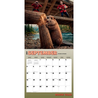 2027 BrownTrout Beaver Tales 12" x 12" Monthly Wall Calendar (9798330716180)