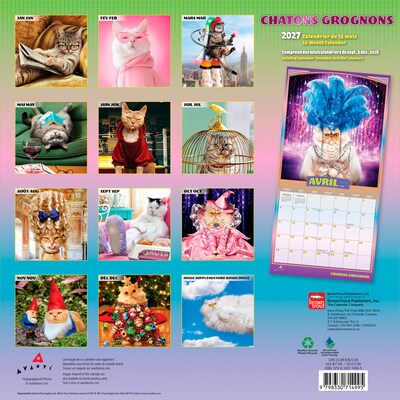 2027 BrownTrout Avanti Chatons Grognons 12 x 12 Monthly Wall Calendar (9798330714995)