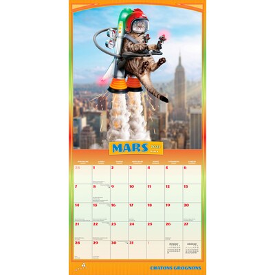 2027 BrownTrout Avanti Chatons Grognons 12" x 12" Monthly Wall Calendar (9798330714995)