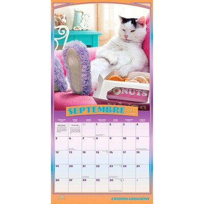 2027 BrownTrout Avanti Chatons Grognons 12" x 12" Monthly Wall Calendar (9798330714995)