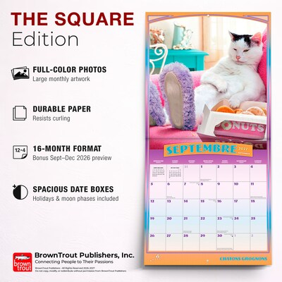 2027 BrownTrout Avanti Chatons Grognons 12" x 12" Monthly Wall Calendar (9798330714995)