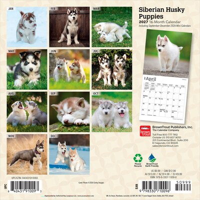 2027 BrownTrout Siberian Husky Puppies 7 x 7 Monthly Wall Calendar (9798330710096)