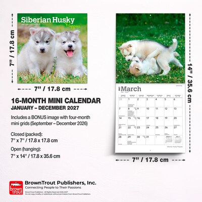 2027 BrownTrout Siberian Husky Puppies 7" x 7" Monthly Wall Calendar (9798330710096)