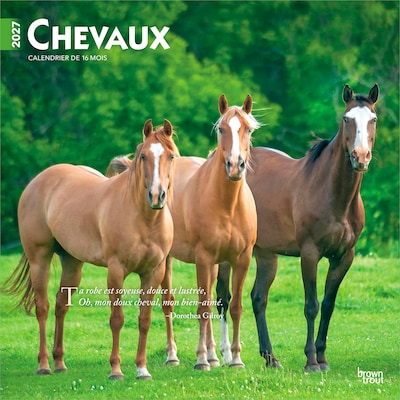 2027 BrownTrout Chevaux 12 x 12 Monthly Wall Calendar (9798330715077)