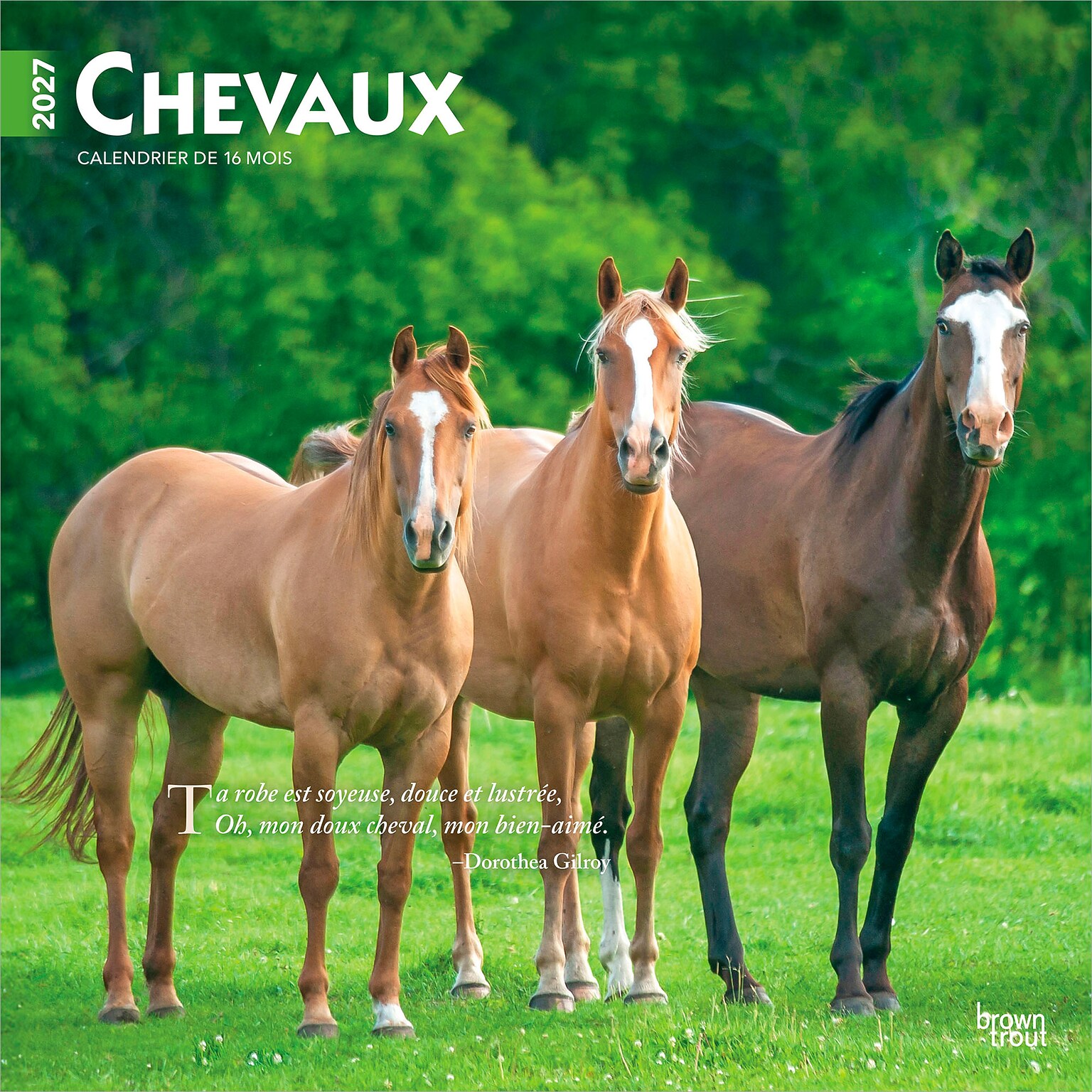 2027 BrownTrout Chevaux 12 x 12 Monthly Wall Calendar (9798330715077)