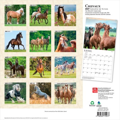 2027 BrownTrout Chevaux 12 x 12 Monthly Wall Calendar (9798330715077)