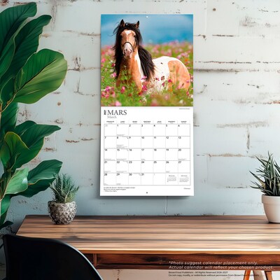 2027 BrownTrout Chevaux 12" x 12" Monthly Wall Calendar (9798330715077)