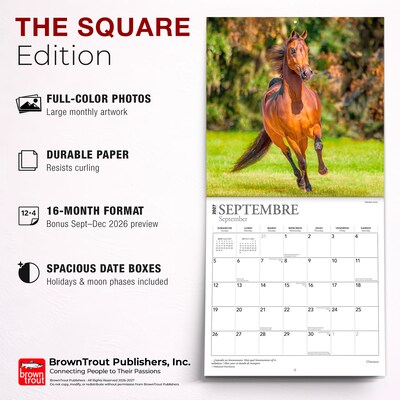 2027 BrownTrout Chevaux 12" x 12" Monthly Wall Calendar (9798330715077)