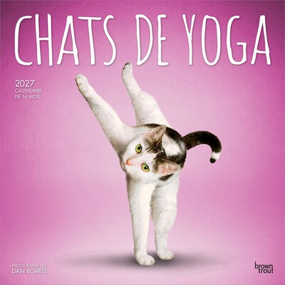 2027 BrownTrout Chats de Yoga 12 x 12 Monthly Wall Calendar (9798330715053)