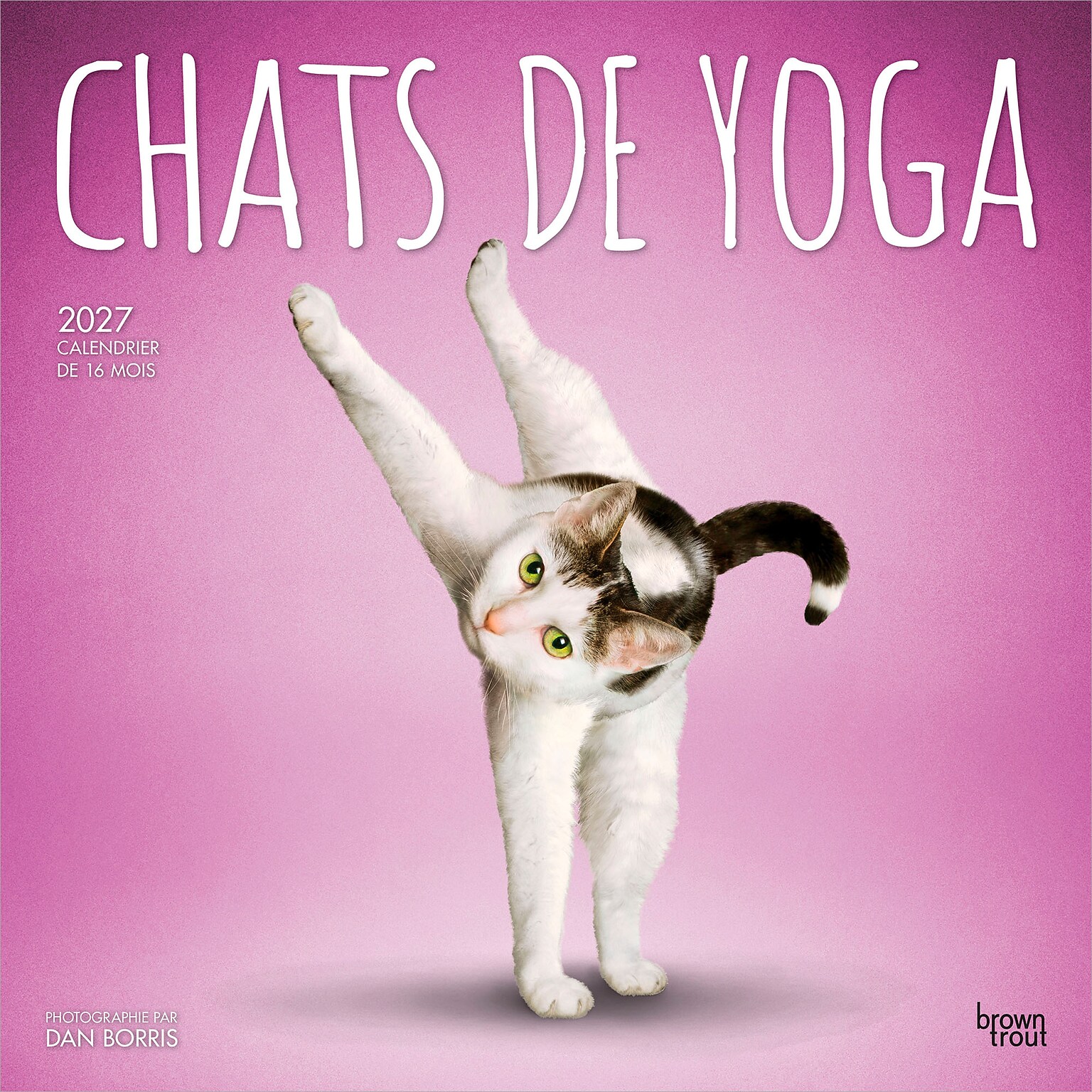2027 BrownTrout Chats de Yoga 12 x 12 Monthly Wall Calendar (9798330715053)