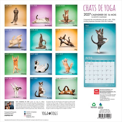2027 BrownTrout Chats de Yoga 12 x 12 Monthly Wall Calendar (9798330715053)