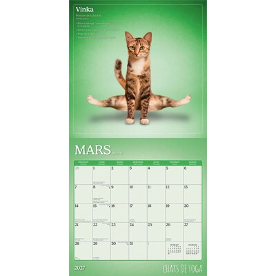 2027 BrownTrout Chats de Yoga 12" x 12" Monthly Wall Calendar (9798330715053)