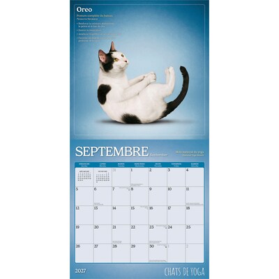 2027 BrownTrout Chats de Yoga 12" x 12" Monthly Wall Calendar (9798330715053)