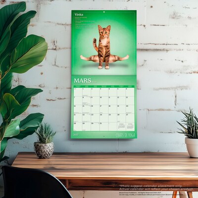 2027 BrownTrout Chats de Yoga 12" x 12" Monthly Wall Calendar (9798330715053)
