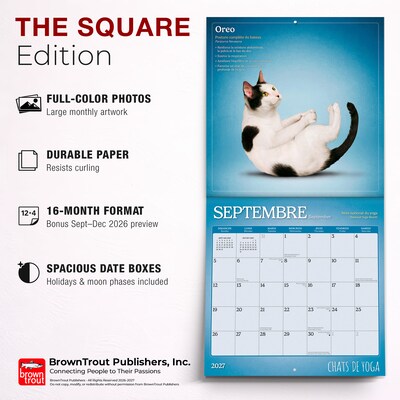 2027 BrownTrout Chats de Yoga 12" x 12" Monthly Wall Calendar (9798330715053)