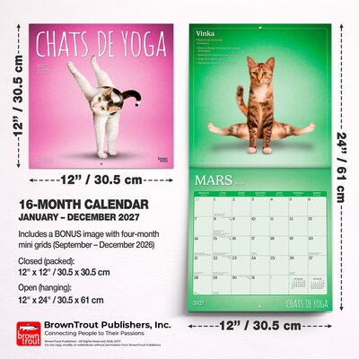 2027 BrownTrout Chats de Yoga 12" x 12" Monthly Wall Calendar (9798330715053)