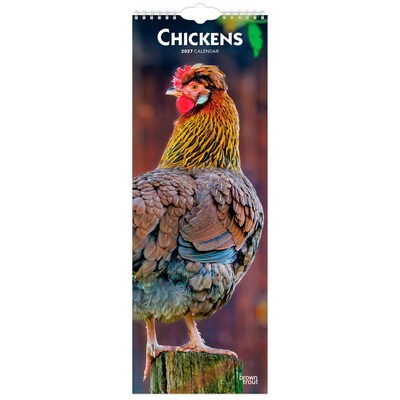 2027 BrownTrout Chickens 5.7 x 16.5 Monthly Slimline Wall Calendar (9798330710287)