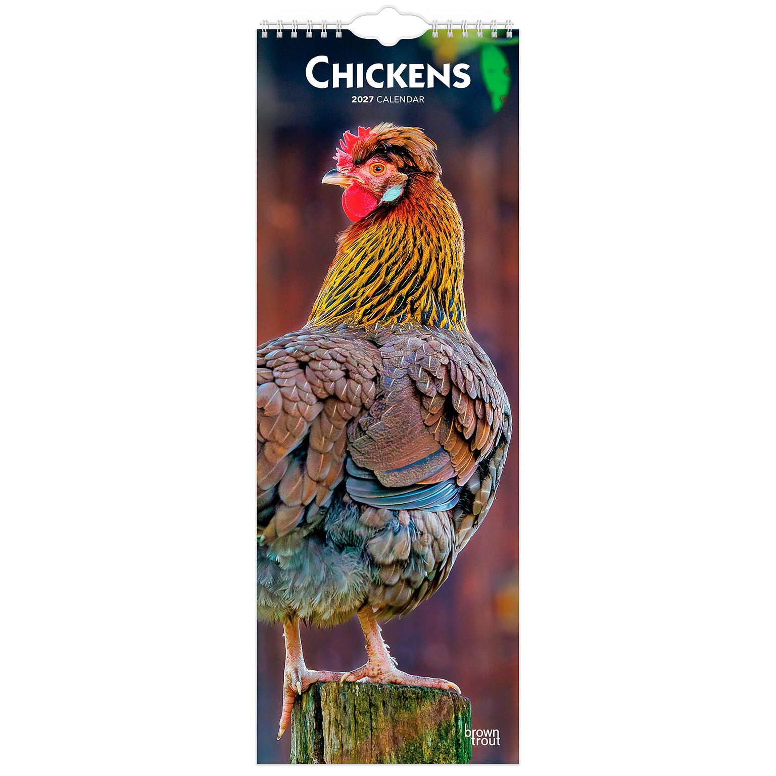 2027 BrownTrout Chickens 5.7 x 16.5 Monthly Slimline Wall Calendar (9798330710287)