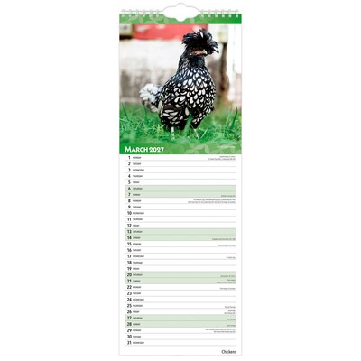 2027 BrownTrout Chickens 5.7" x 16.5" Monthly Slimline Wall Calendar (9798330710287)