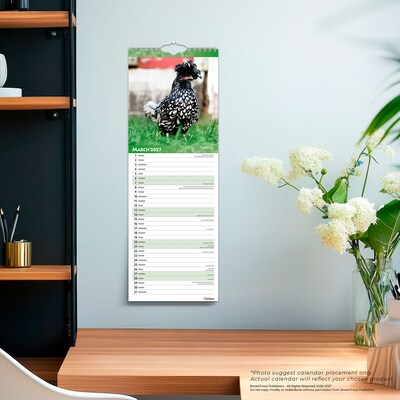 2027 BrownTrout Chickens 5.7" x 16.5" Monthly Slimline Wall Calendar (9798330710287)