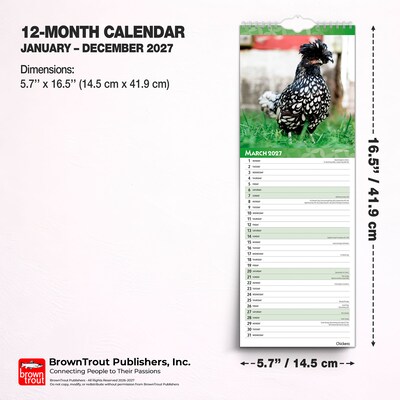 2027 BrownTrout Chickens 5.7" x 16.5" Monthly Slimline Wall Calendar (9798330710287)