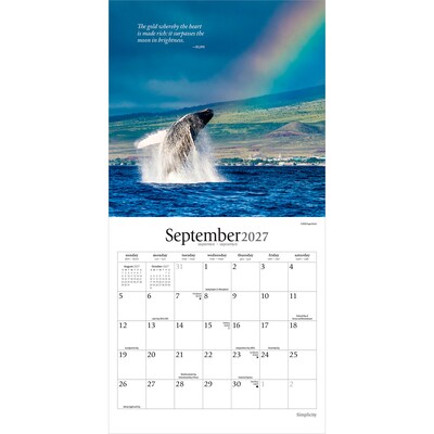 2027 BrownTrout Simplicity 7" x 7" Monthly Wall Calendar (9798330713905)