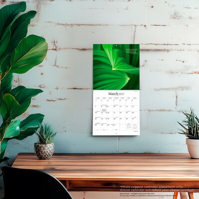 2027 BrownTrout Simplicity 7" x 7" Monthly Wall Calendar (9798330713905)