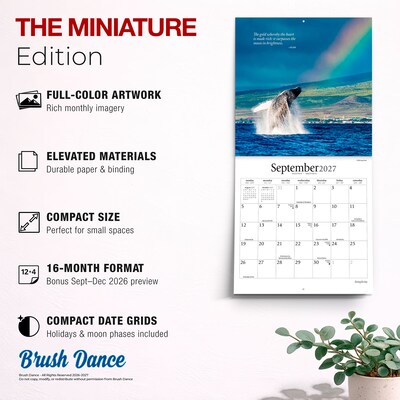 2027 BrownTrout Simplicity 7" x 7" Monthly Wall Calendar (9798330713905)