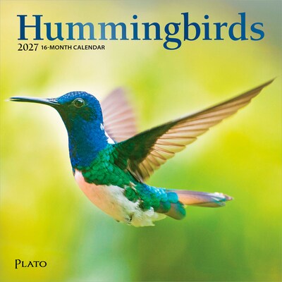 2027 BrownTrout Hummingbirds 7 x 7 Monthly Wall Calendar (9798330713677)