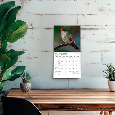 2027 BrownTrout Hummingbirds 7" x 7" Monthly Wall Calendar (9798330713677)