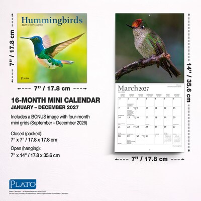 2027 BrownTrout Hummingbirds 7" x 7" Monthly Wall Calendar (9798330713677)
