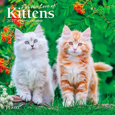 2027 BrownTrout For the Love of Kittens 7 x 7 Monthly Wall Calendar (9798330713745)