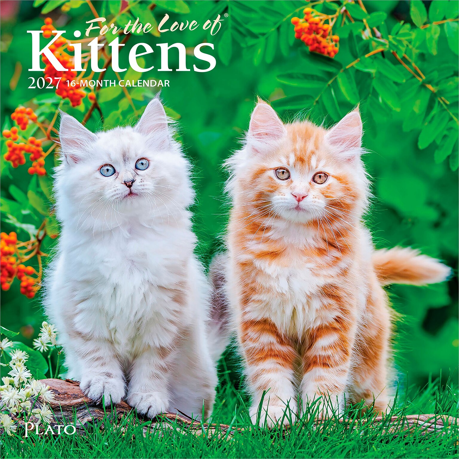 2027 BrownTrout For the Love of Kittens 7 x 7 Monthly Wall Calendar (9798330713745)