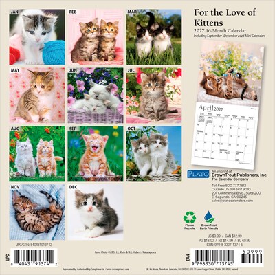 2027 BrownTrout For the Love of Kittens 7 x 7 Monthly Wall Calendar (9798330713745)