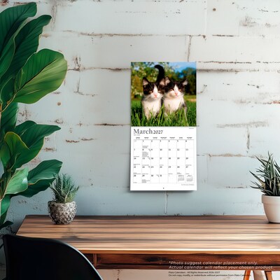 2027 BrownTrout For the Love of Kittens 7" x 7" Monthly Wall Calendar (9798330713745)