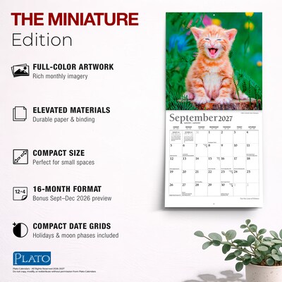 2027 BrownTrout For the Love of Kittens 7" x 7" Monthly Wall Calendar (9798330713745)