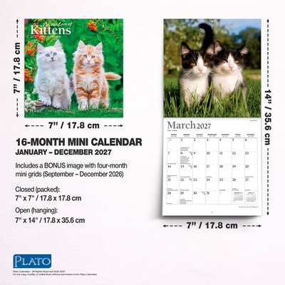 2027 BrownTrout For the Love of Kittens 7" x 7" Monthly Wall Calendar (9798330713745)