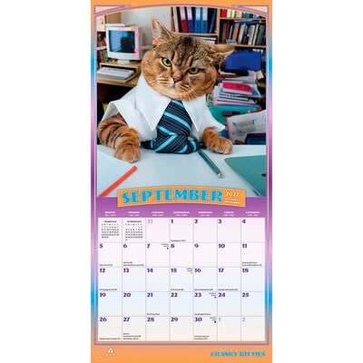 2027 BrownTrout Avanti Cranky Kitties 7" x 7" Monthly Wall Calendar (9798330714926)