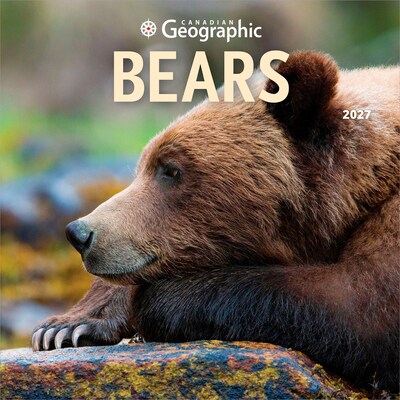 2027 BrownTrout Canadian Geographic Bears 12 x 12 Monthly Wall Calendar (9781525617942)