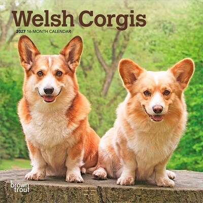 2027 BrownTrout Welsh Corgis 7 x 7 Monthly Wall Calendar (9798330710102)
