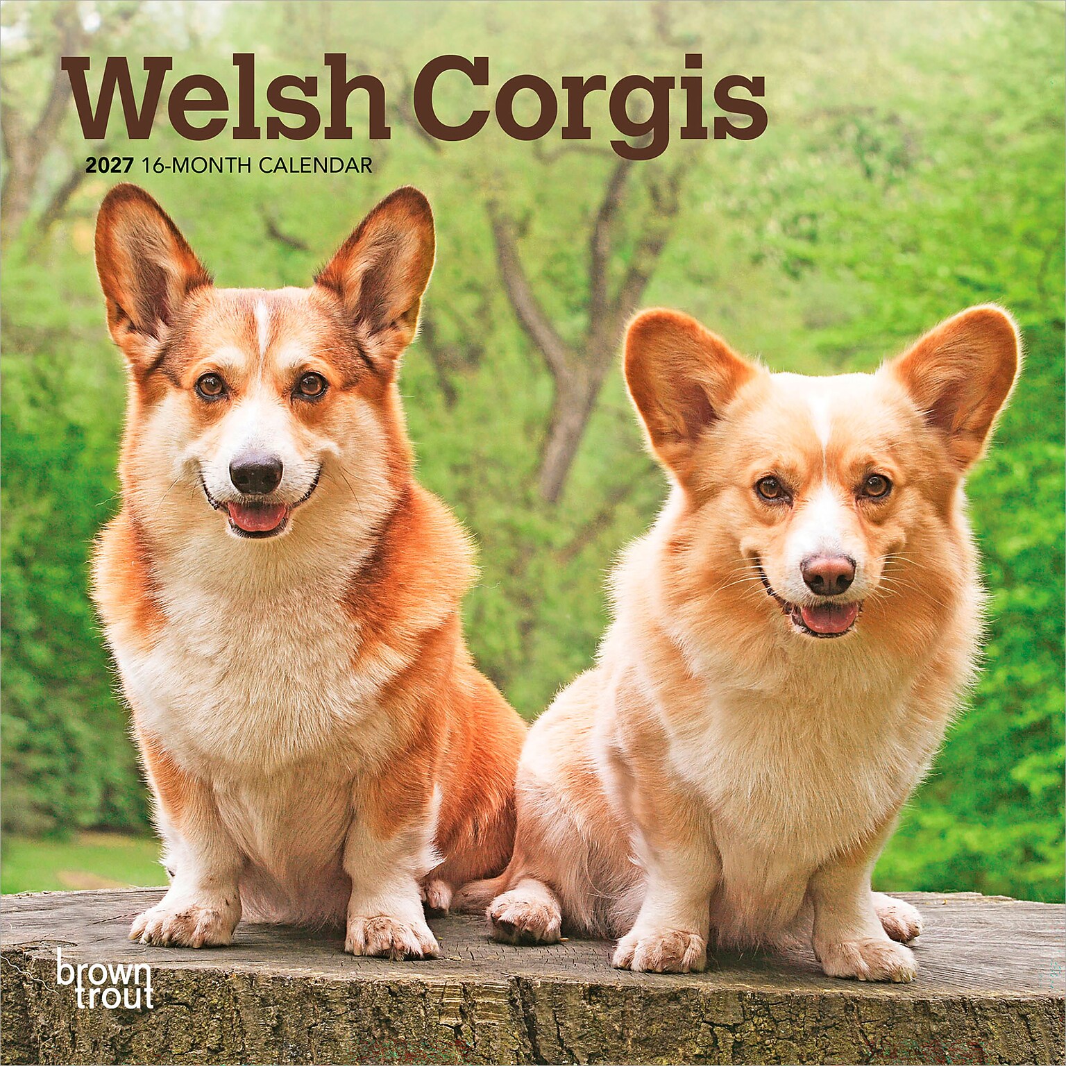 2027 BrownTrout Welsh Corgis 7 x 7 Monthly Wall Calendar (9798330710102)