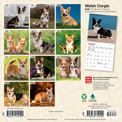 2027 BrownTrout Welsh Corgis 7 x 7 Monthly Wall Calendar (9798330710102)