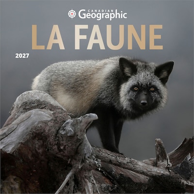 2027 BrownTrout Canadian Geographic La faune 12 x 12 Monthly Wall Calendar (9781525617928)